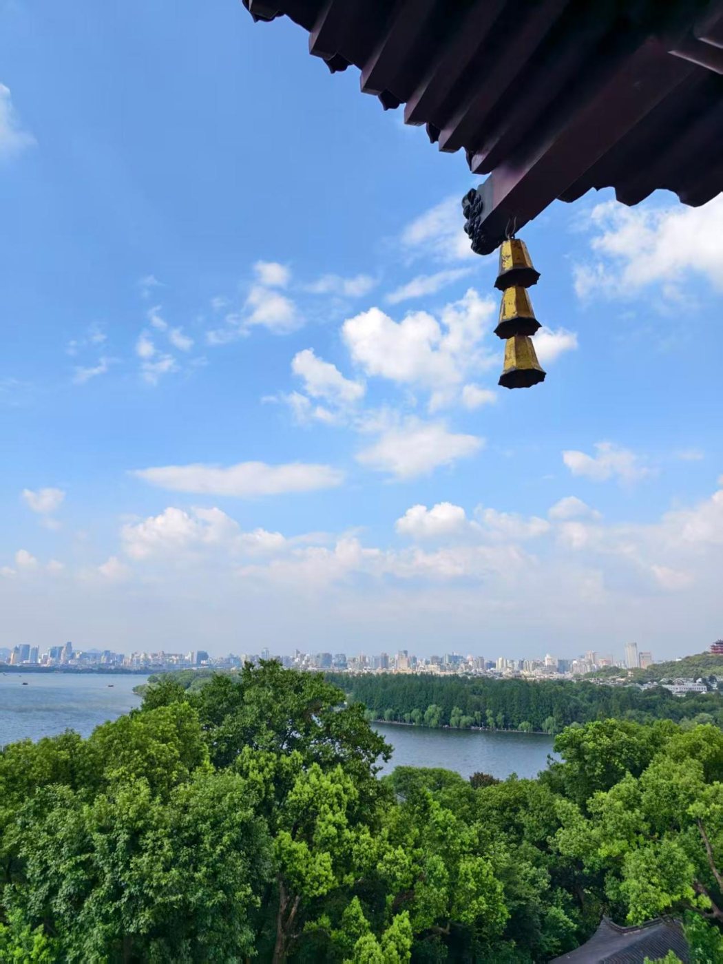 杭州城市漫步与本地文化体验(Dima · 中俄英) 现场照片